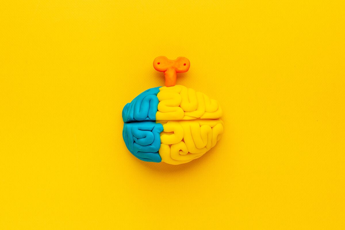 Thinking tools: blue and yellow model of the brain