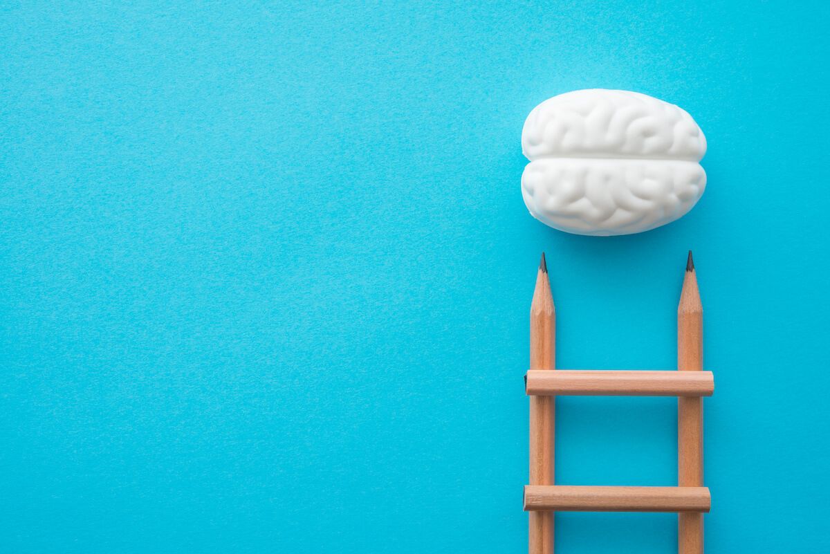 Model of the brain and a ladder made out of pencils