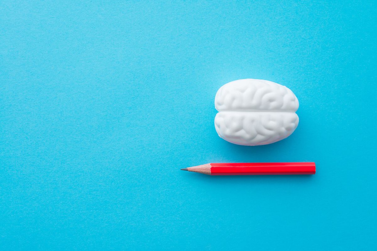 Meaningful learning: small red pencil and a white miniature model of a brain